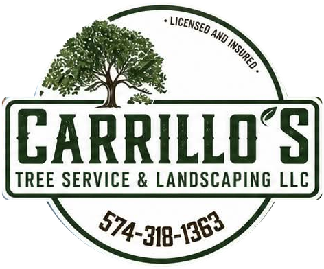 Carrillo’s Tree Service & Landscaping LLC